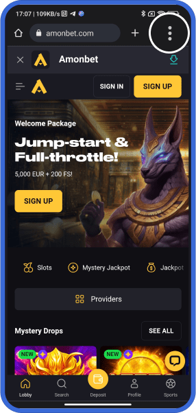 Step 1: Open browser menu